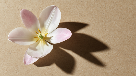 The Art of Simplicity: Crafting a Minimalist Beauty Routine