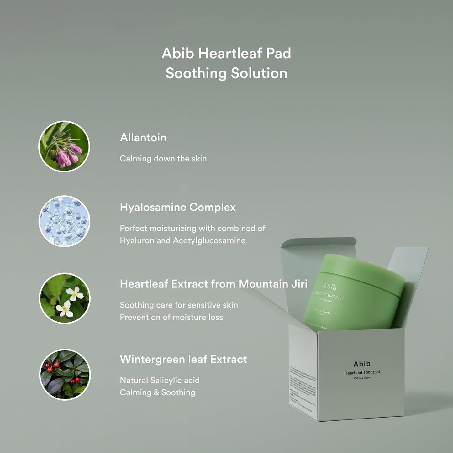 Tampon apaisant pour les taches Heartleaf d'Abib, 75 feuilles (120 ml)