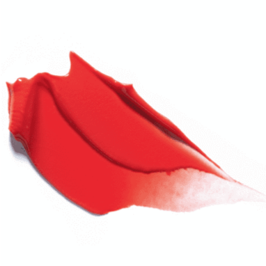 Baume Colorant Hyper-Fit FEEV 12g (3 couleurs)