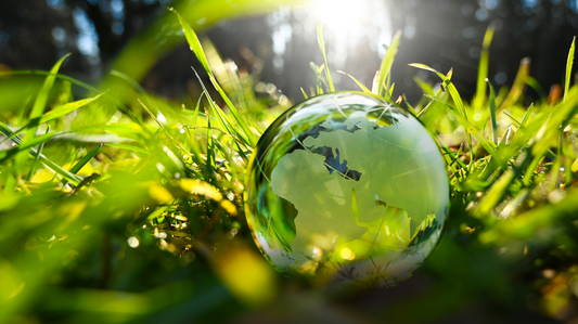 13 Key Sustainability Issues in the Beauty Industry