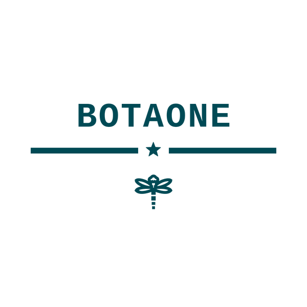 BOTAONE